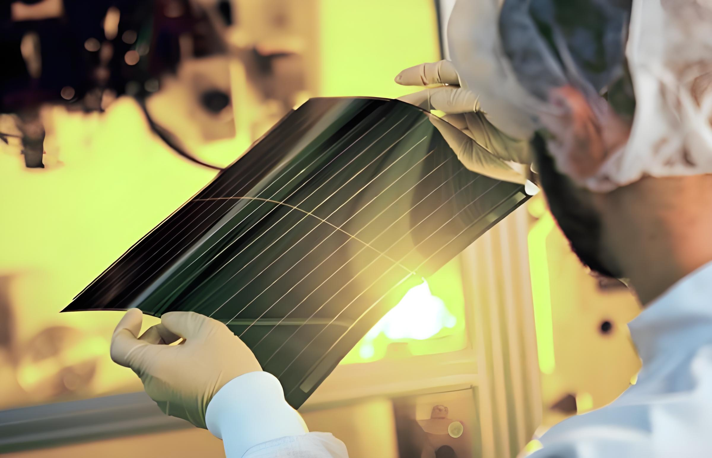 Breaking Barriers: 36.5% Efficient TMD Solar Cells for Indoor IoT Energy Harvesting