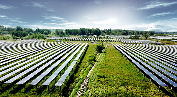 Spain's New Policy: Agrivoltaic Projects Eligible for Agricultural Subsidies